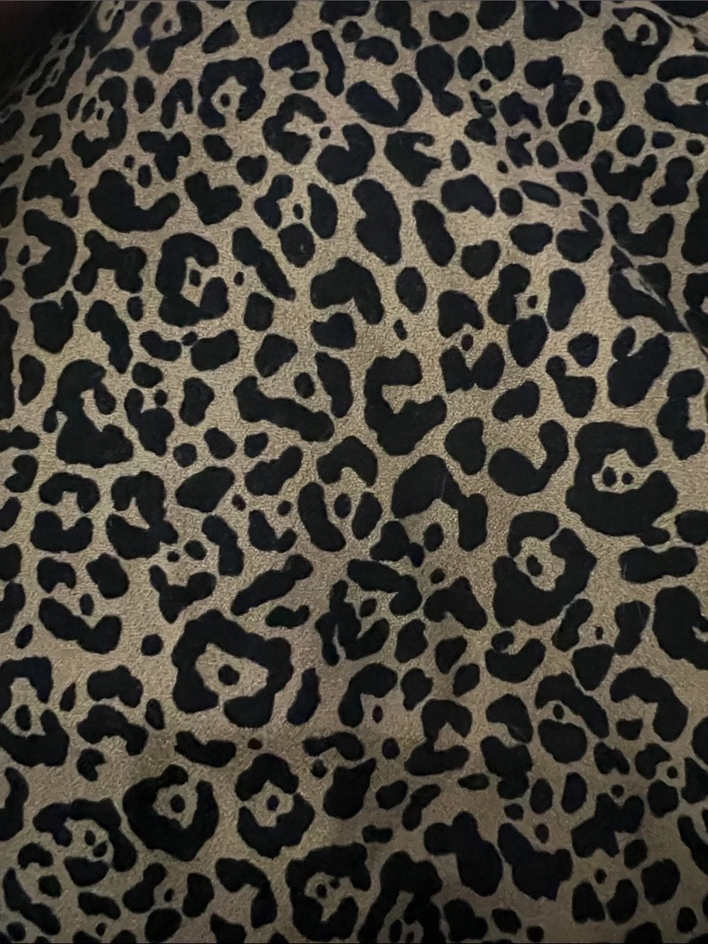 Reformation Leopard Maxi Skirt Women’s 4